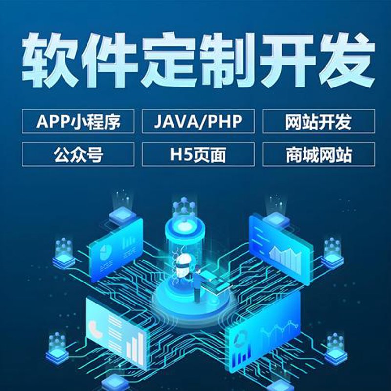 软件定制开发：解锁企业成长的新引擎